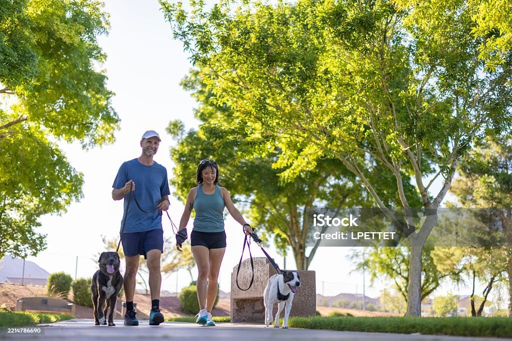 istockphoto-2214786690-1024x1024