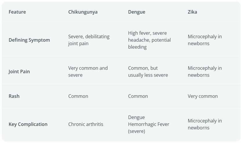 chikungunya vs Dengue vs Zika table