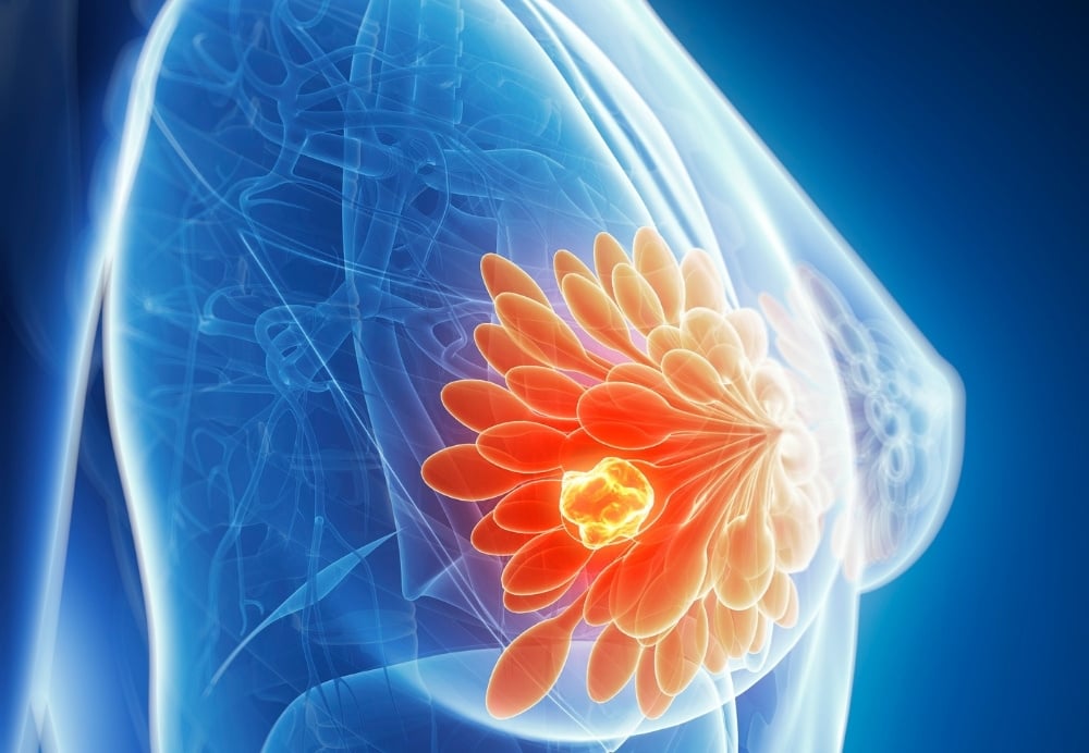 breast anatomy illustration