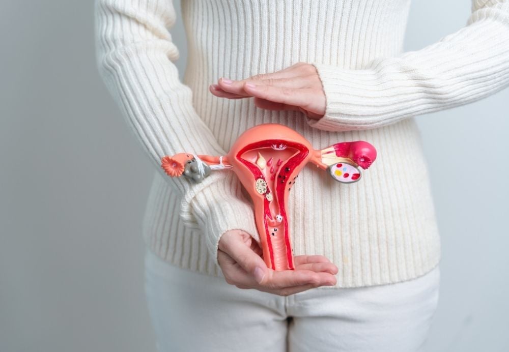 uterine fibroid 