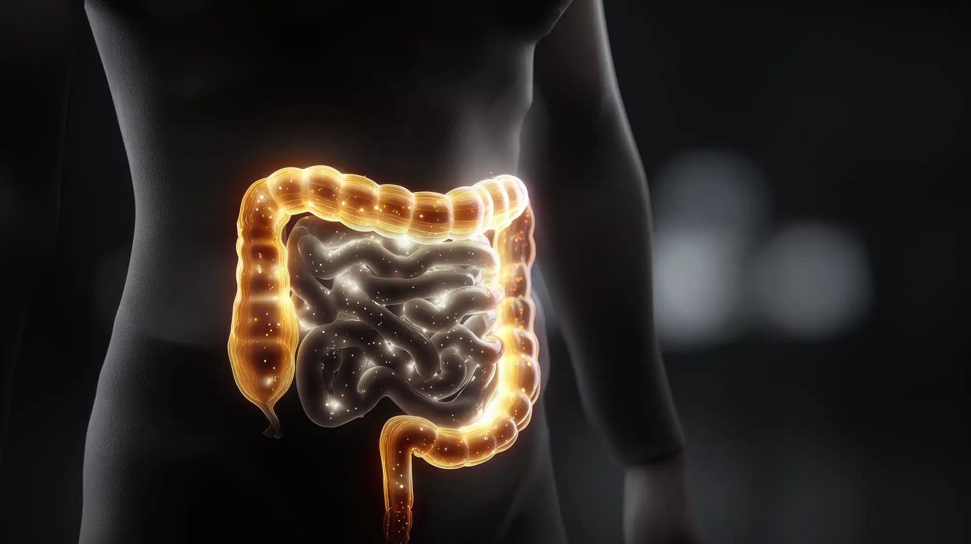 large_bowel