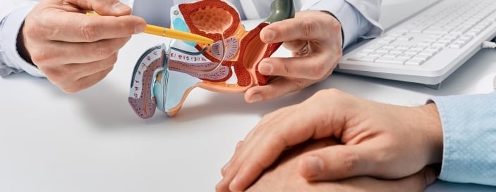 Prostate disease and treatment. Male reproductive system anatomical model in doctors hands close-up during consultation of male patient with suspected bacterial prostatitis Prostate disease and treatment. Male reproductive system anatomical model in doctors hands close-up during consultation of male patient with suspected bacterial prostatitis