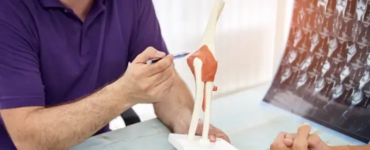 醫生利用膝關節模型向病人講解膝部結構及受傷情況。Doctor explaining knee structure and injury using a knee joint model.