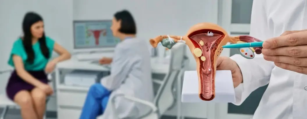 醫生利用子宮模型向病人講解婦科狀況及相關健康資訊。