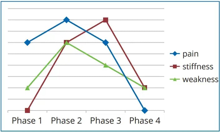 肩周炎發炎位置醫學示意圖