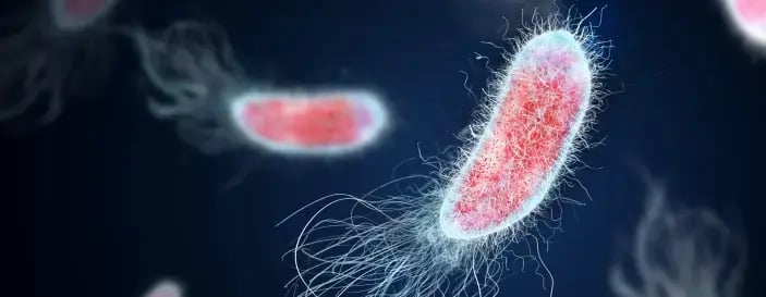 細菌近距離示意圖，代表感染成因。