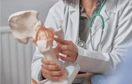 doctor explaining anatomy of hip