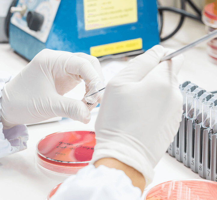 doctor examining specimen